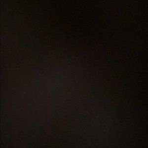 Meet your Posher, Jessie